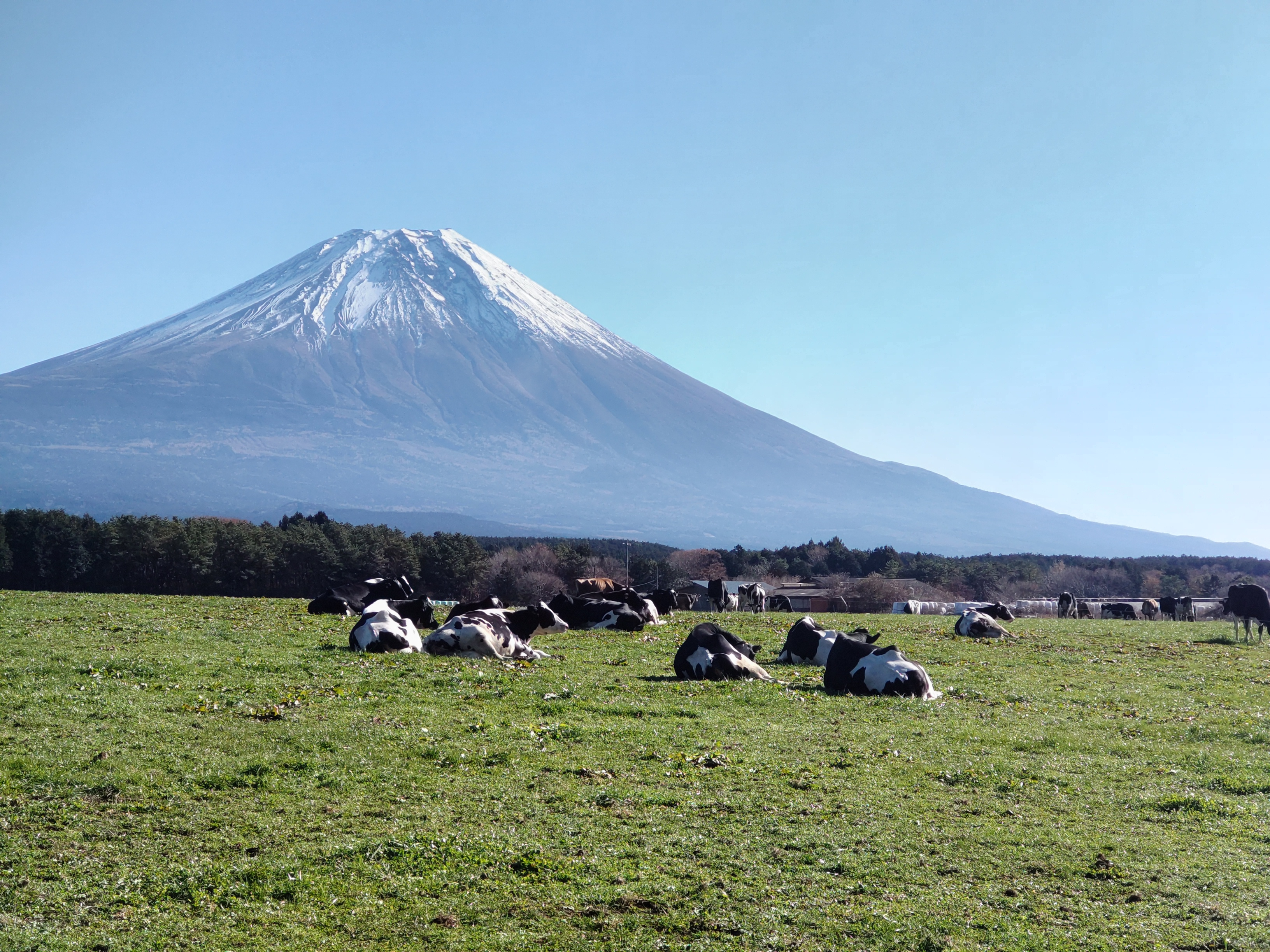 富士山が見える土地の画像