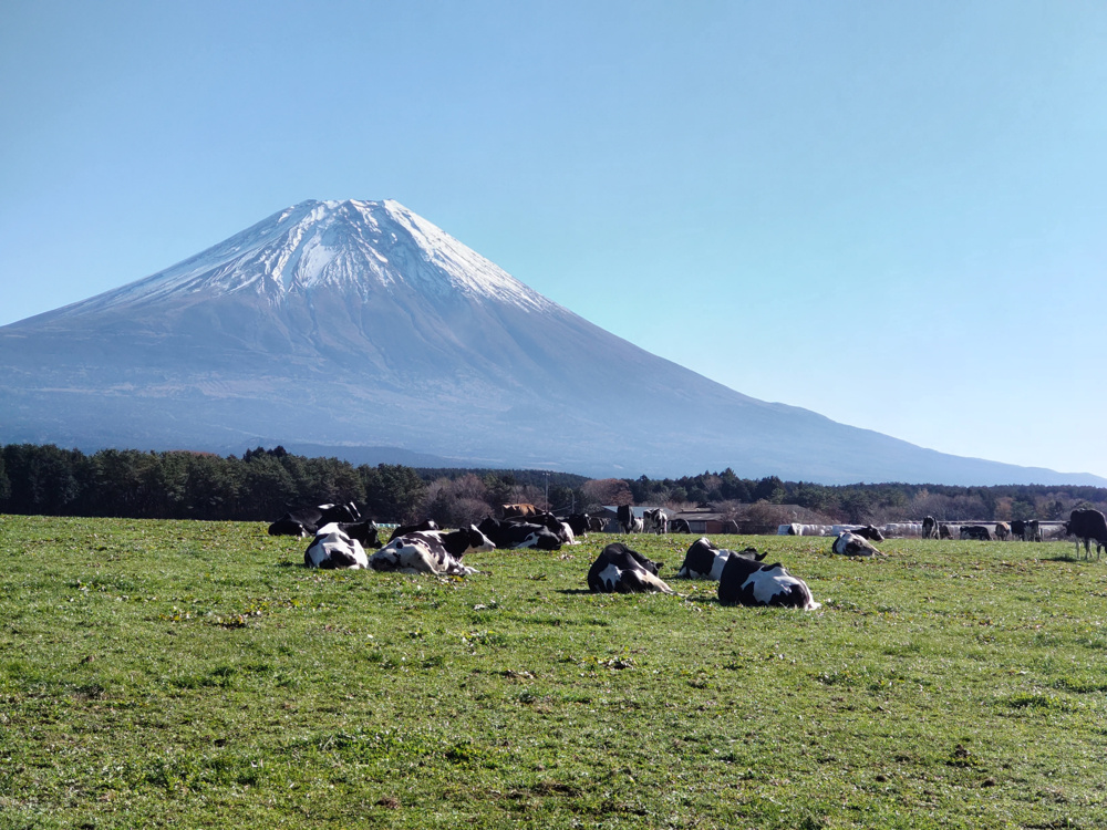 富士山が見える土地の画像