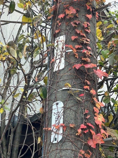 【あま市不動産売却】物件調査の画像