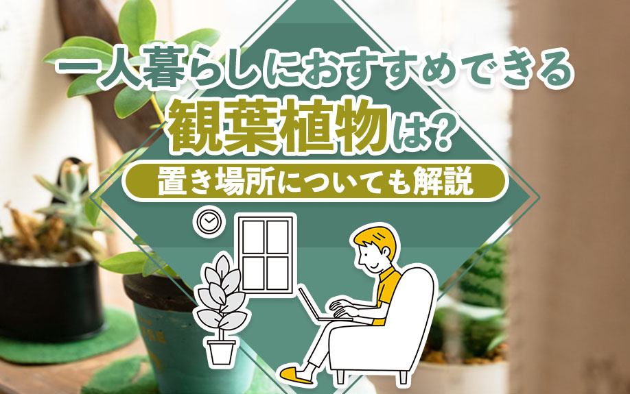 一人暮らしにおすすめできる観葉植物は？置き場所についても解説
