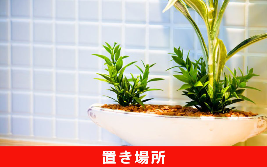 一人暮らしにおすすめの観葉植物の置き場所