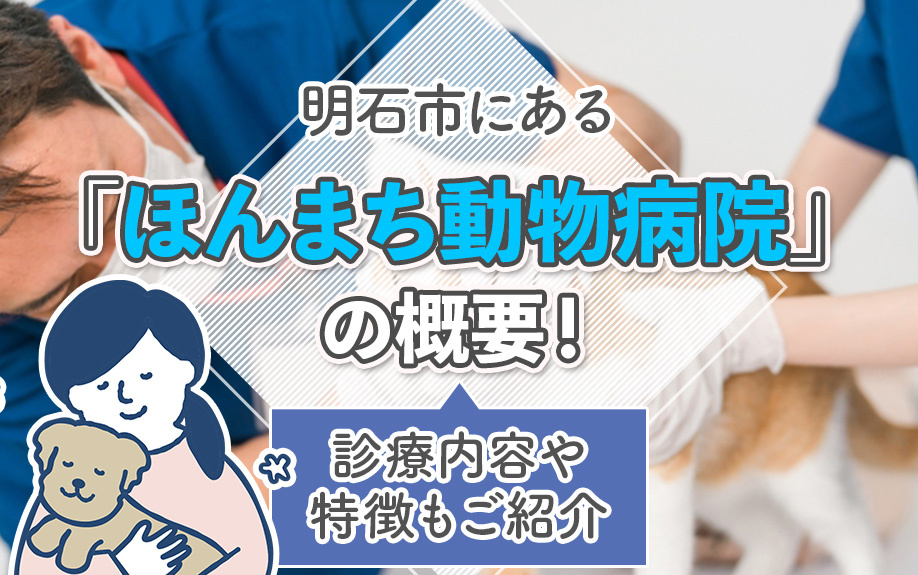 明石市にある「ほんまち動物病院」の概要！診療内容や特徴もご紹介