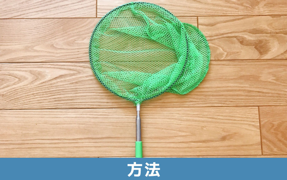 ヤモリが家の中にいた場合はどうする？追い出す方法とは？