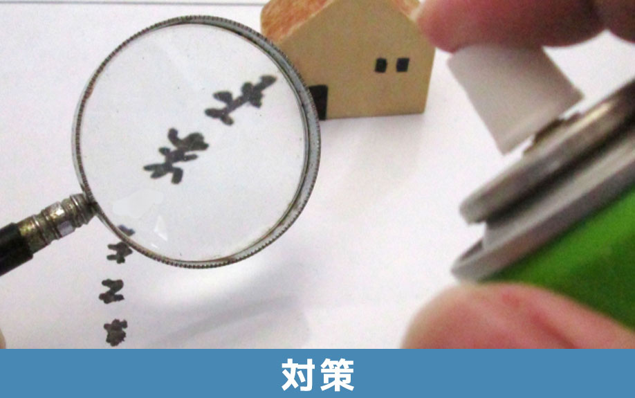 家の中にいたらどうする？ヤモリを寄せ付けないための対策とは？