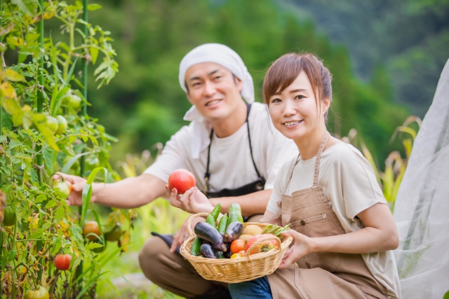 土地活用時の注意点とは？始めやすい・収益性が高いアイデアも解説の画像
