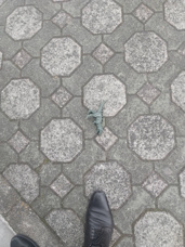 朝の清掃の画像