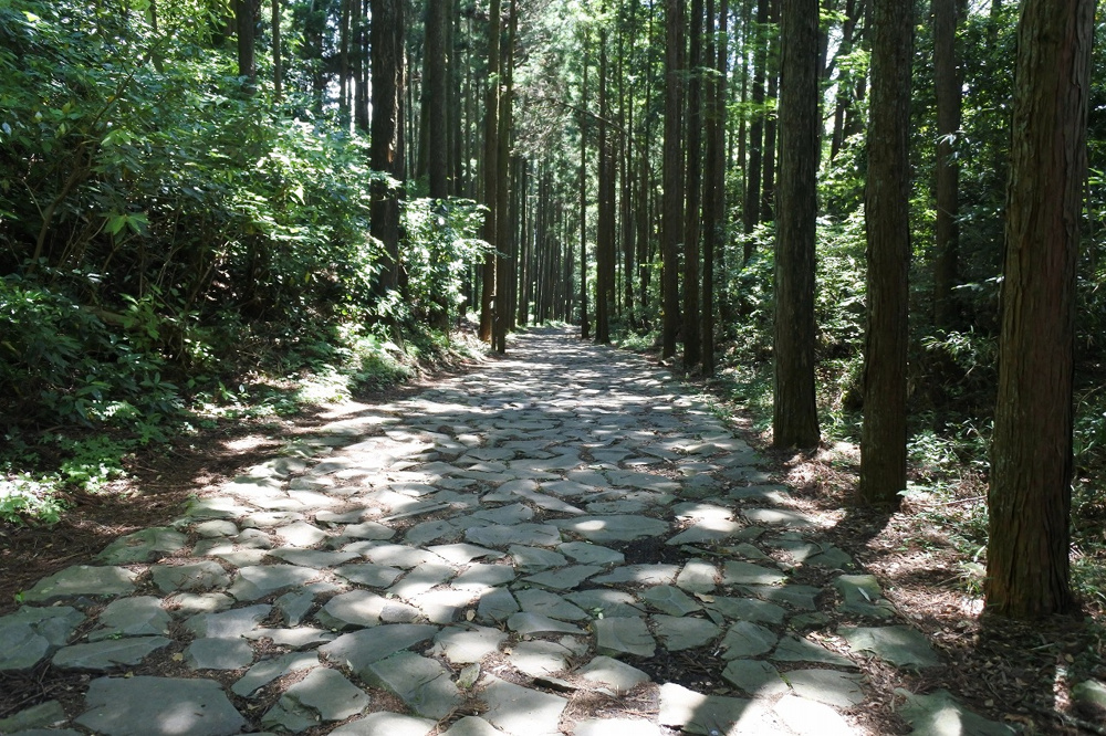 三島市の「箱根旧街道石畳」の魅力ご紹介！！の画像