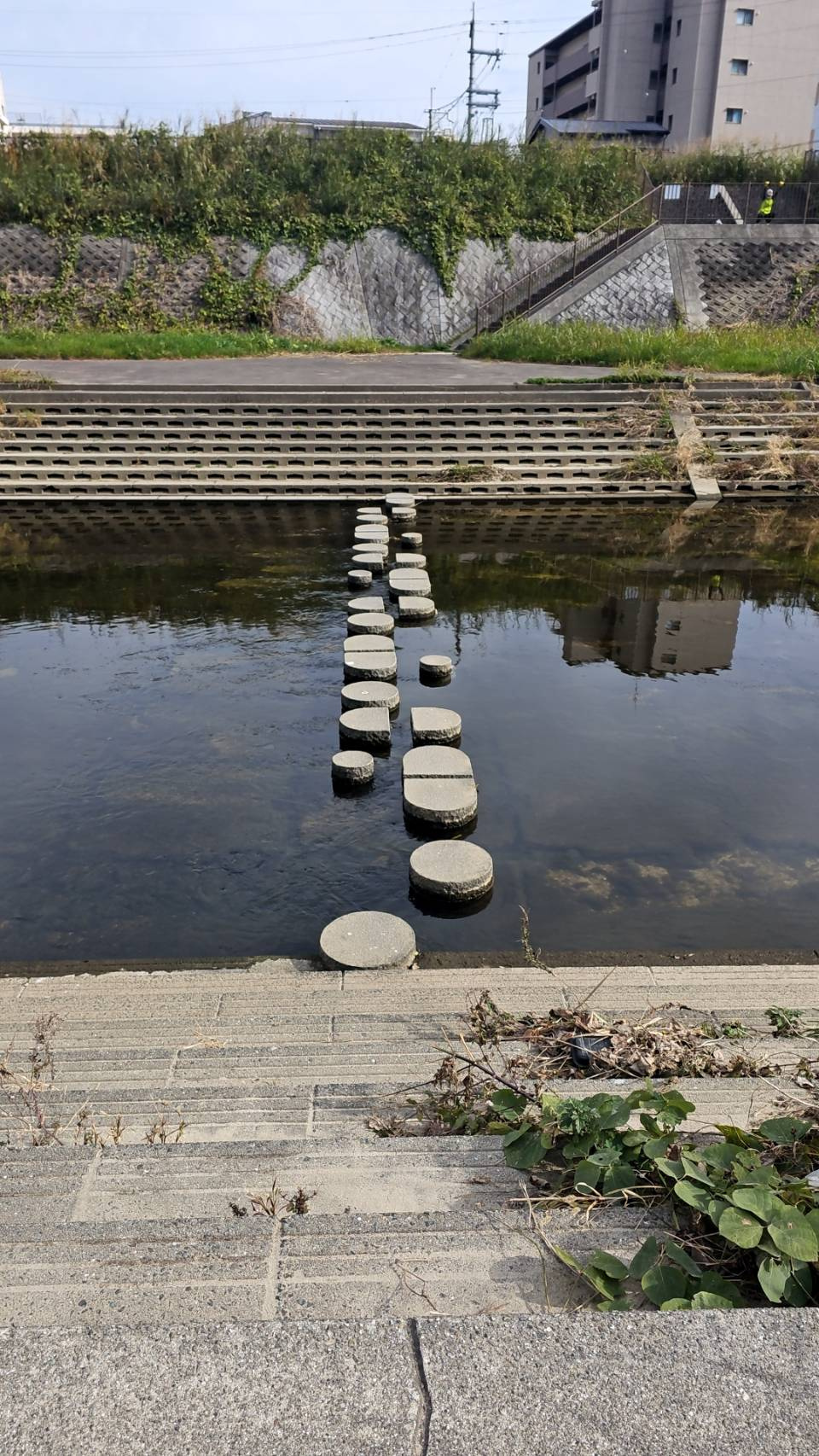 枚方市 新発見 マンション外観撮影の旅の画像