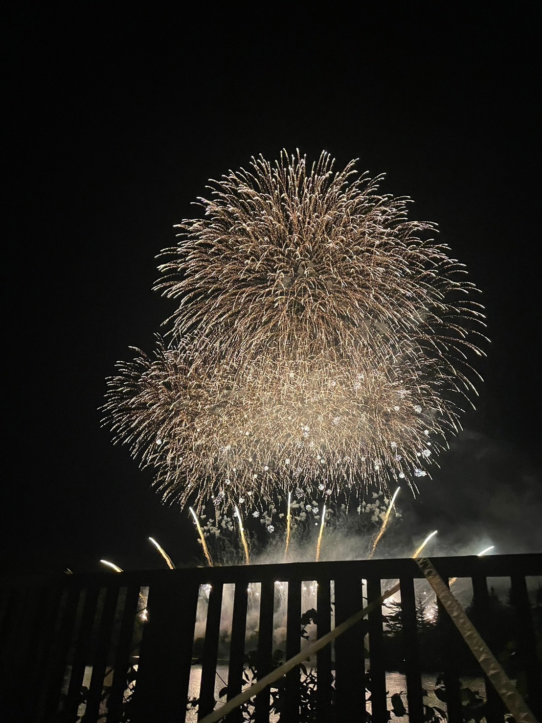 冬の花火の画像