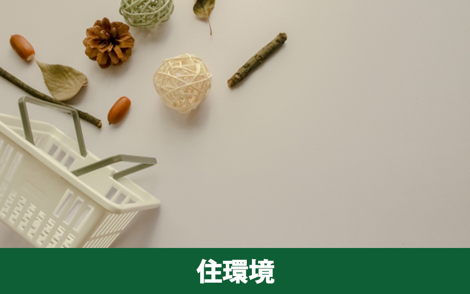 相楽郡精華町の住環境