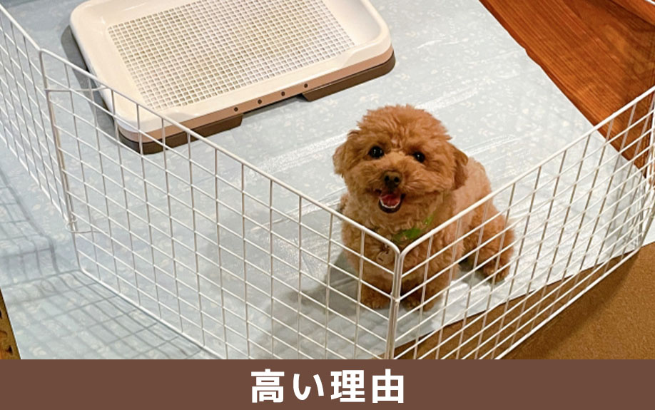 ペットが飼育できる賃貸物件の退去費用が高い理由