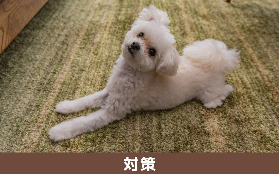 ペットが飼育できる賃貸物件の退去費用を抑えるための対策