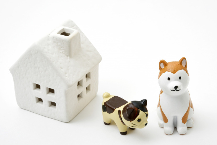 ペット可賃貸で飼われている犬と猫