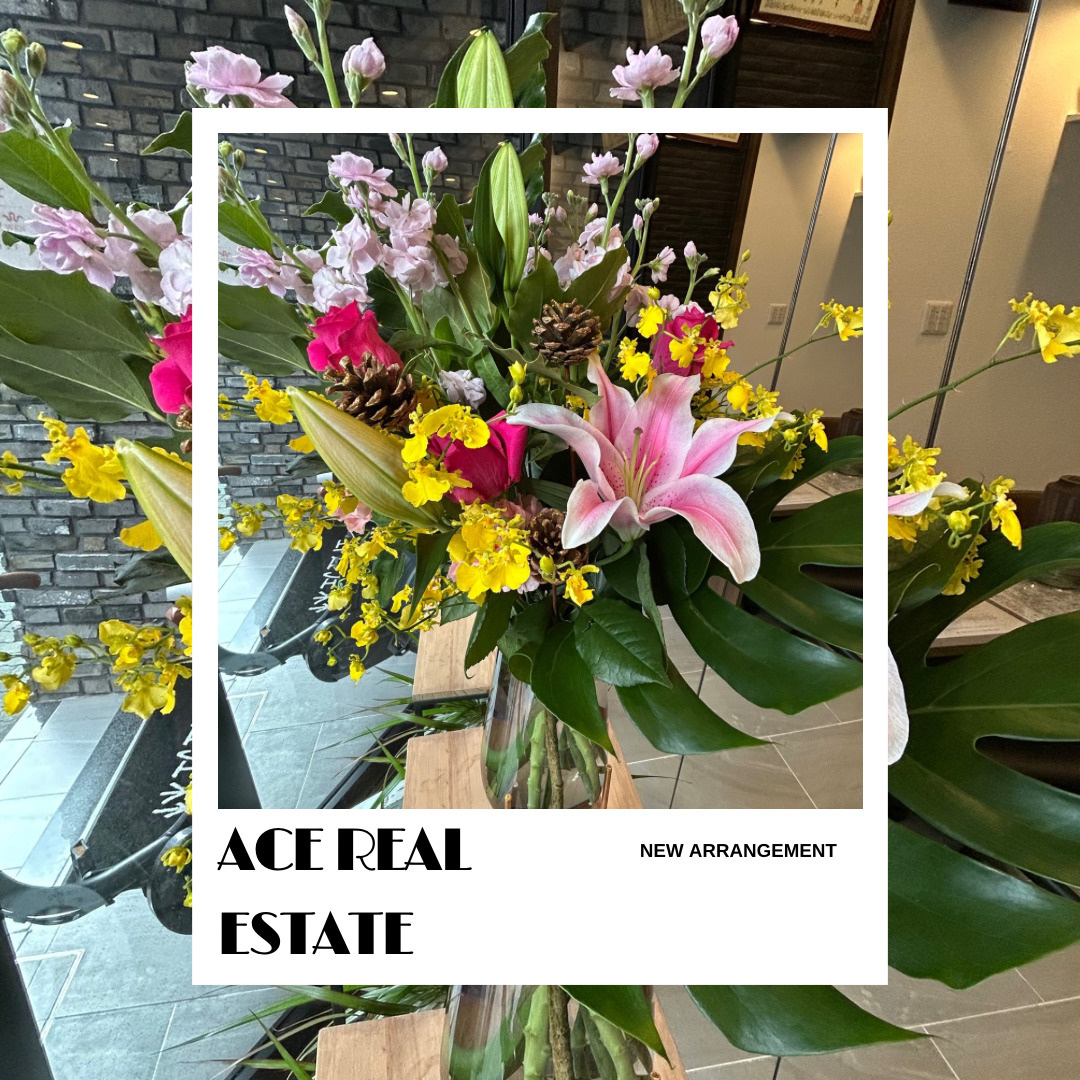 12月スタッフブログ②の画像