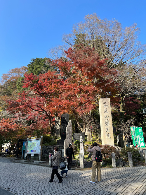 高尾山登頂の画像