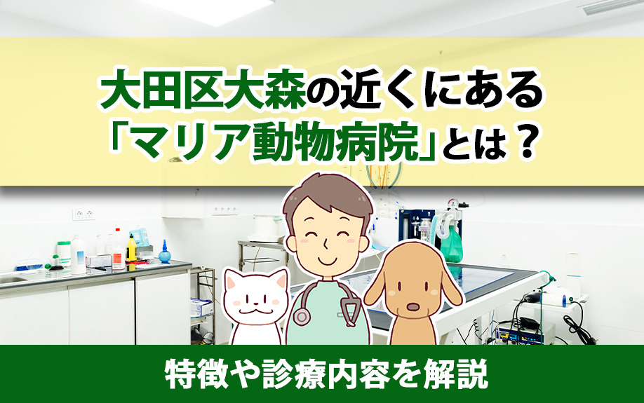 大田区大森の近くにある「マリア動物病院」とは？特徴や診療内容を解説