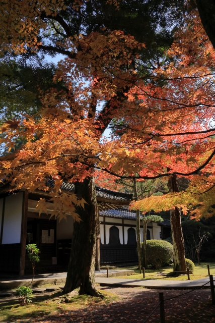 【2025年】みやま市の家賃相場について解説の画像