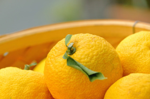 2024年、秋を駆け抜けた冬至の画像