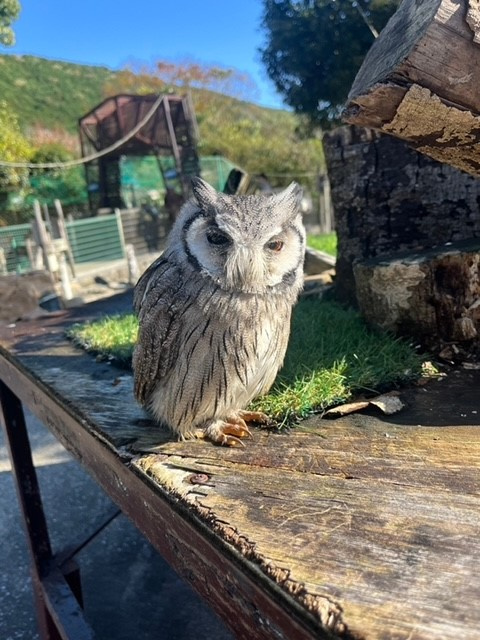 1番好きな動物園の画像