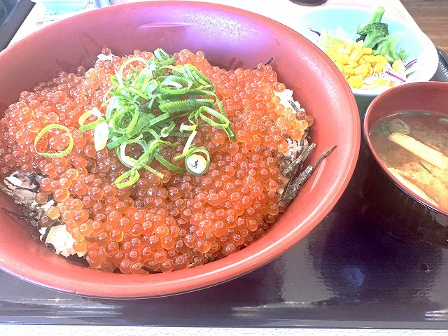 話題のいくら丼を食べてきました！の画像