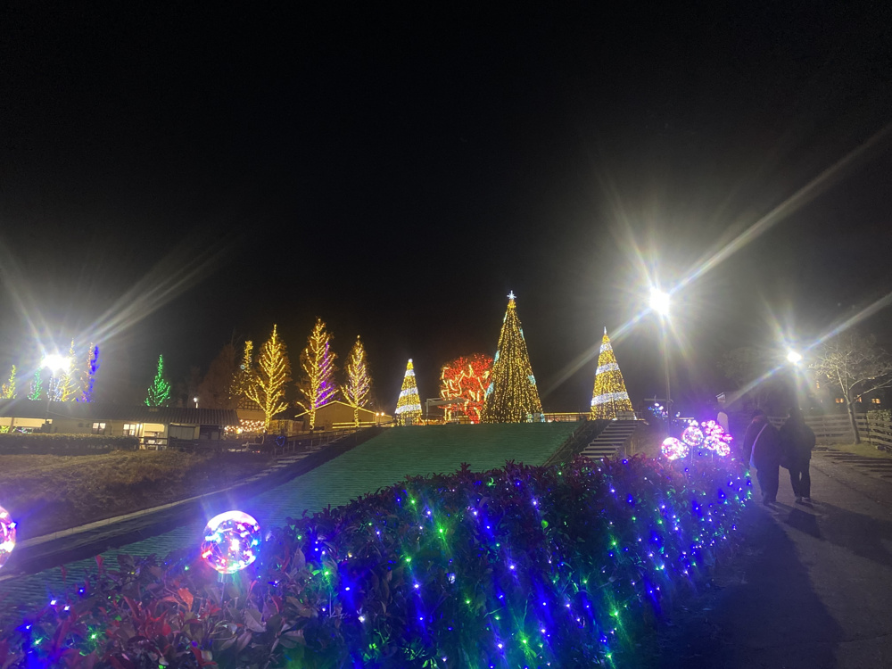 ・＊。★メリークリスマス★。＊・の画像