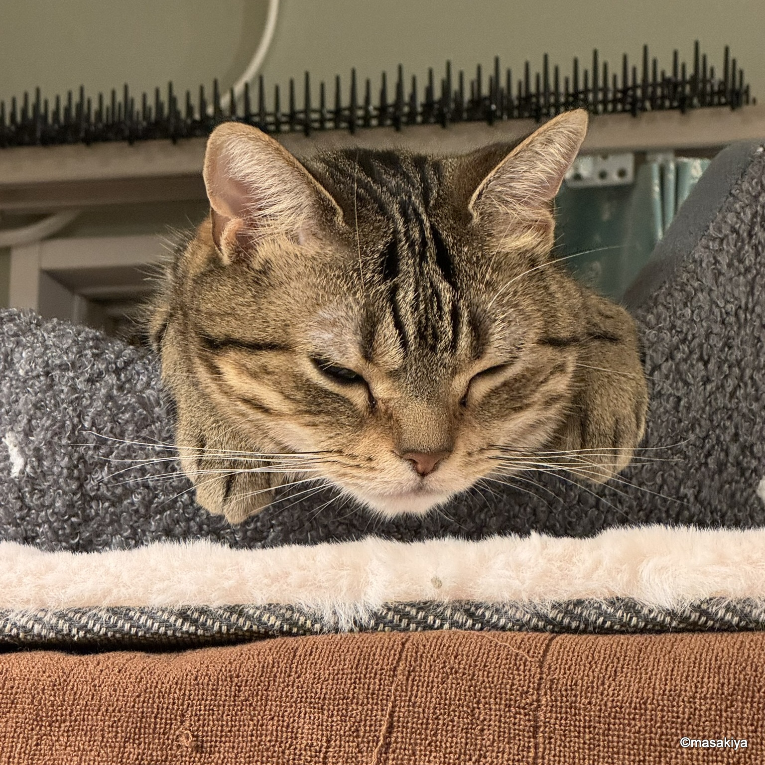 今年やってよかったことの画像