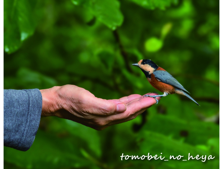 非日常空間　憧れの別荘ライフ♪～番外編～の画像