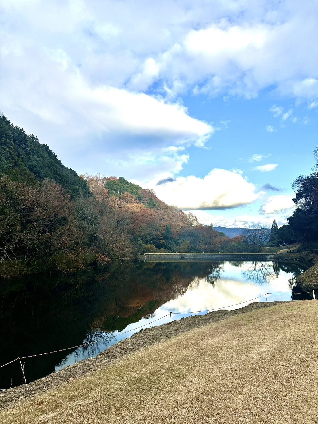 2024年最後の画像