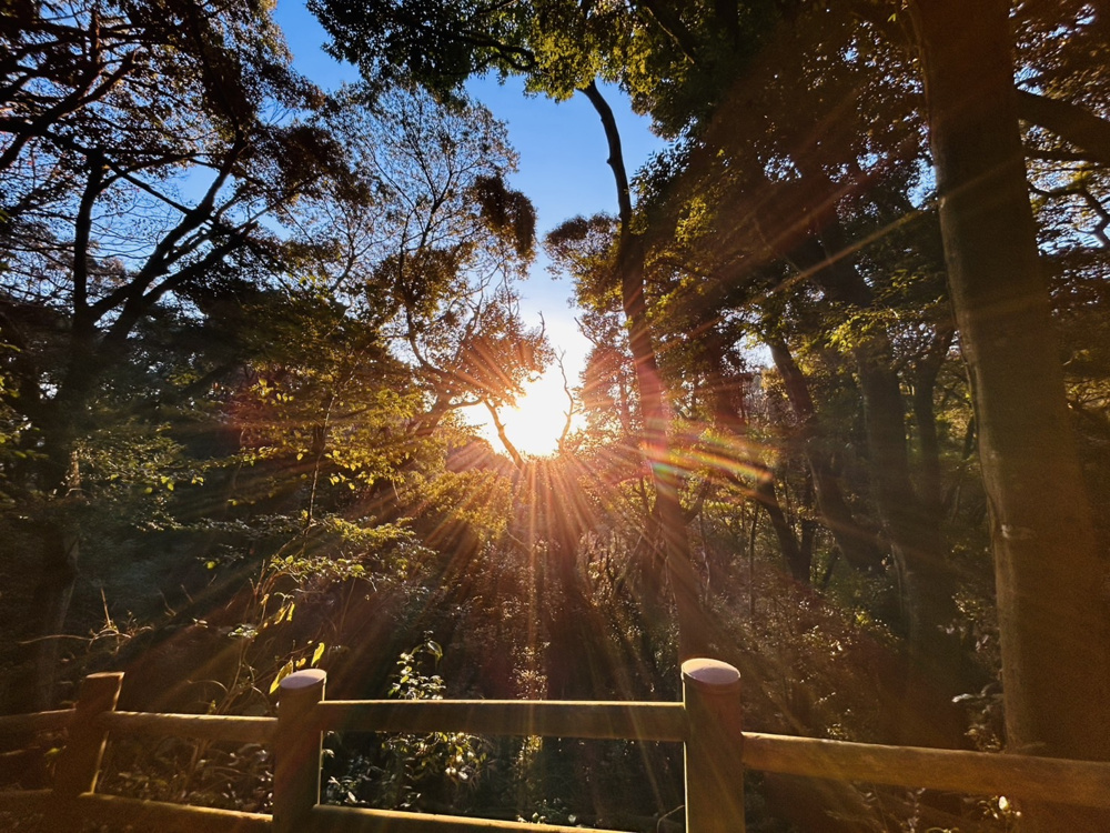 新年のご挨拶とブログオープンのお知らせ♪の画像