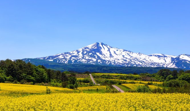 由利本荘市のアパート選び方とは？ 住みやすさのポイントをご紹介の画像