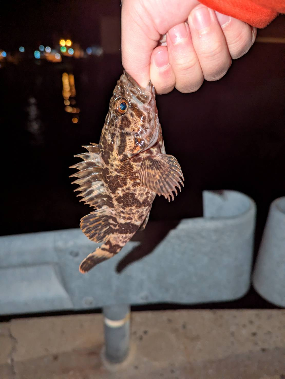 新年初釣行！の画像