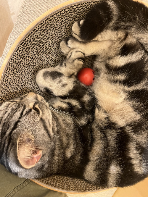 土地選びで失敗したくない？ 注意点を解説の画像