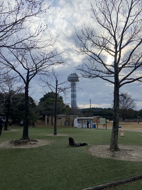 木曽三川公園の画像