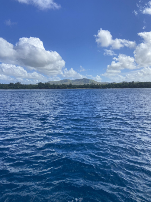 冬期休暇の画像