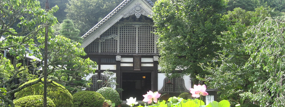 ・三島市の「玉澤妙法華寺」の魅力ご紹介！！の画像