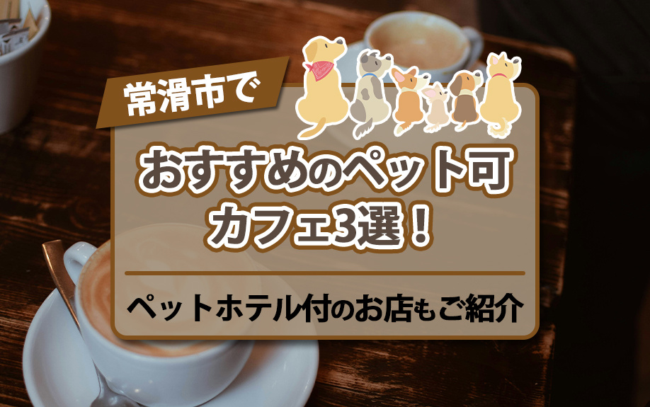 常滑市でおすすめのペット可カフェ3選！ペットホテル付のお店もご紹介