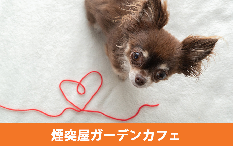 常滑市のおすすめのペット可カフェ「煙突屋ガーデンカフェ」