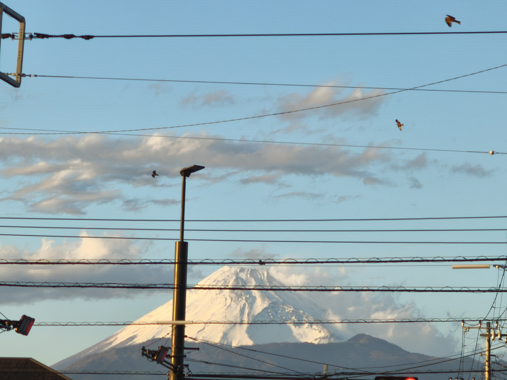 三島市の暮らしを楽しもう。三島市芙蓉台の中古戸建てをご紹介！の画像