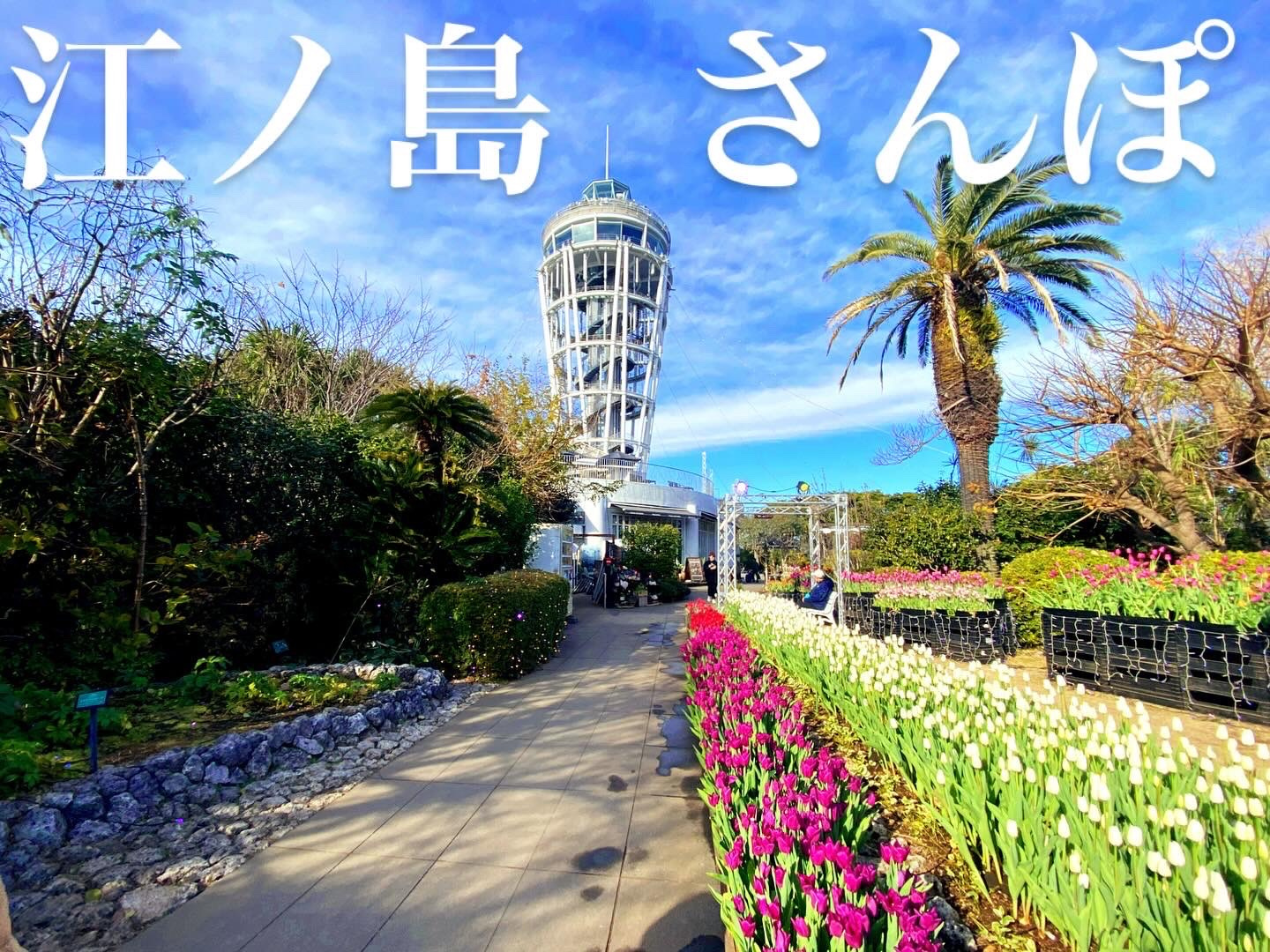 スタッフの休日（年末年始編）の画像