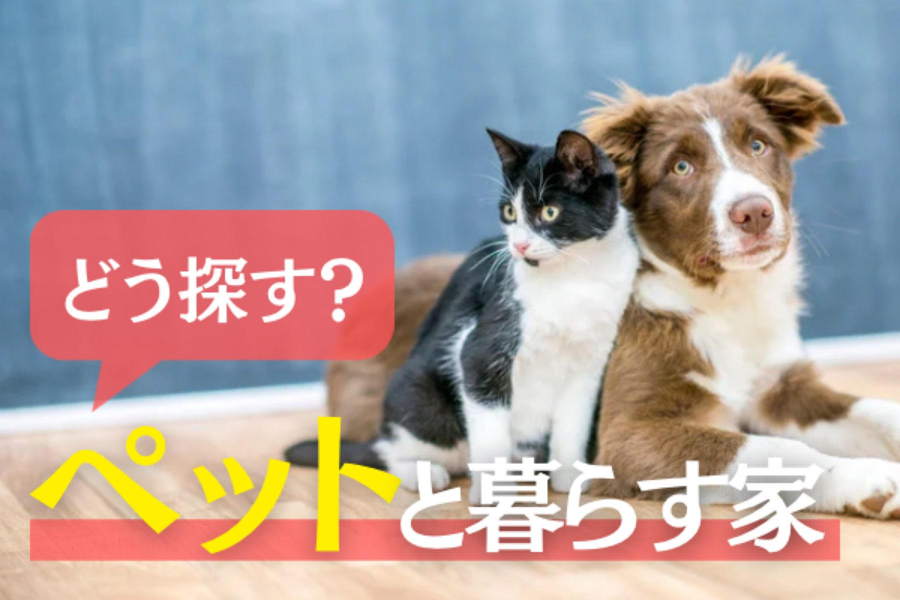 ペットOKの物件どう探す？ 効果的な見つけ方を解説の画像