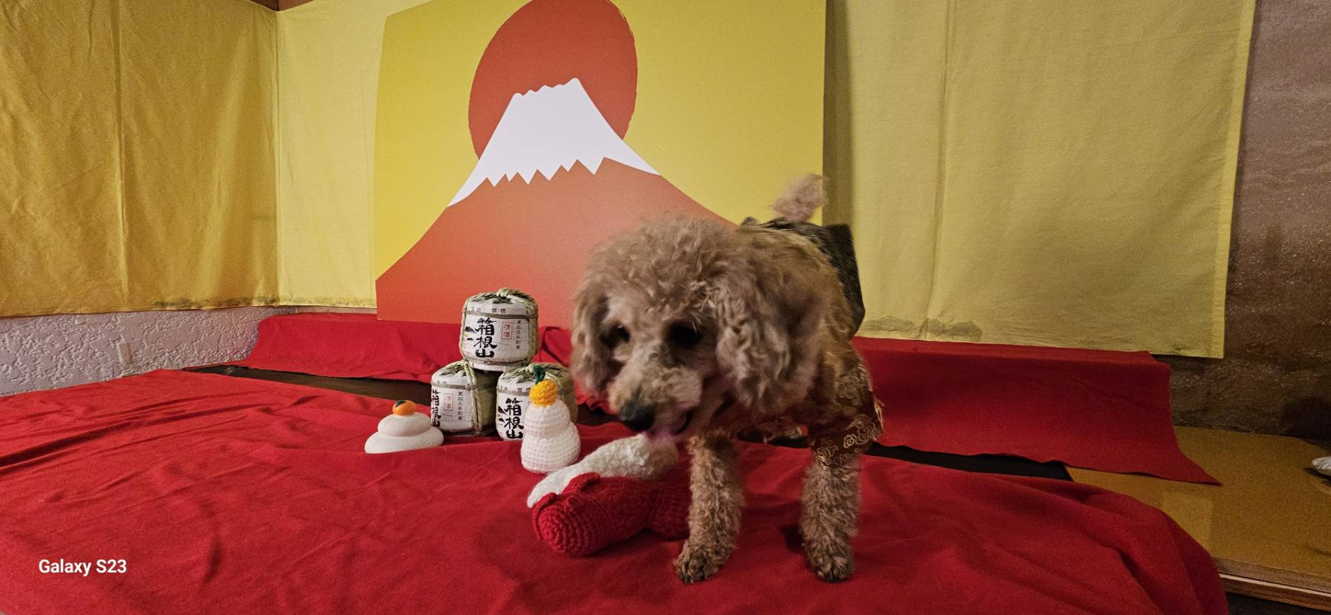 箱根旅行 パート1の画像