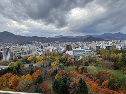 新規売り出し物件情報(ザ・タワー中島公園ラピス　ライオンズスクエアの画像