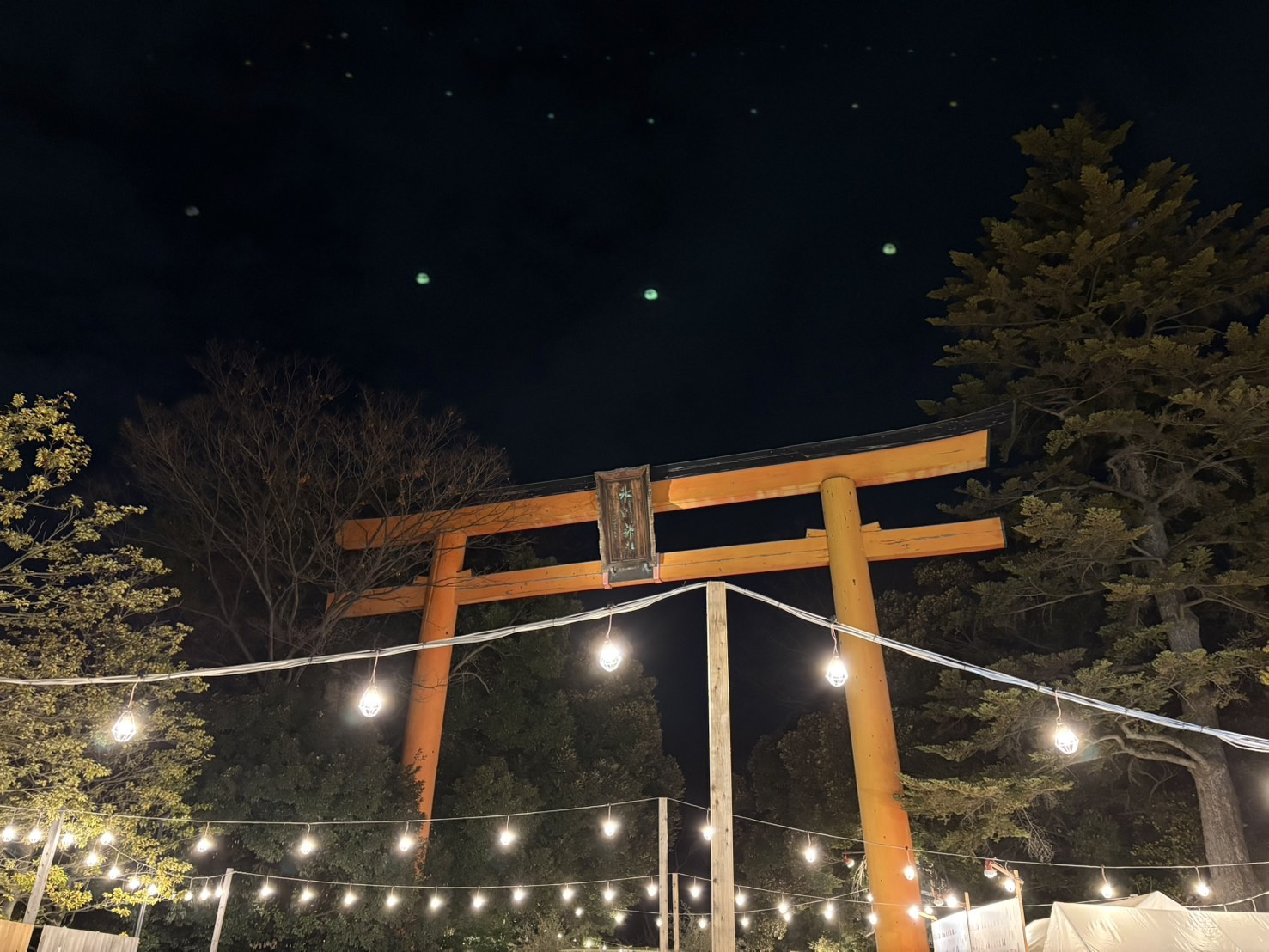 新年☆彡の画像