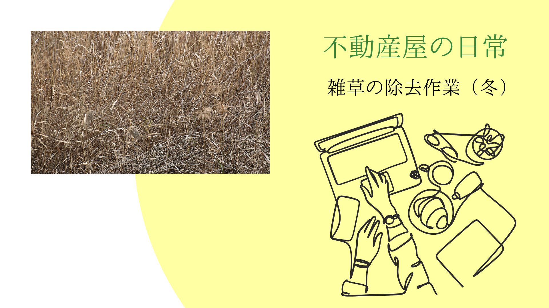 【不動産屋の日常】冬も雑草や枯草の除去作業を行う場合がありますの画像