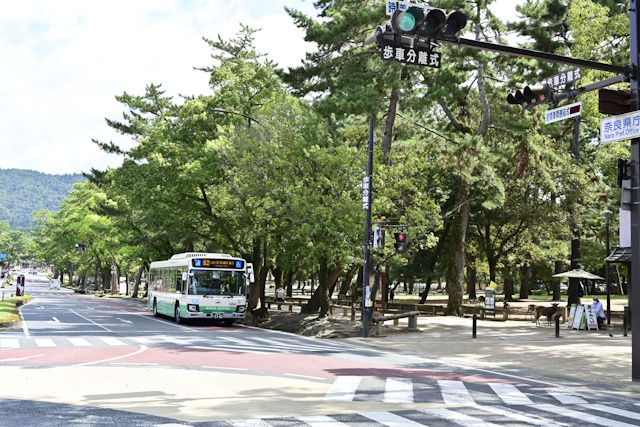 自然災害のリスクが低い