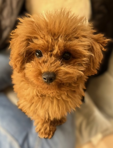 新年早々の画像