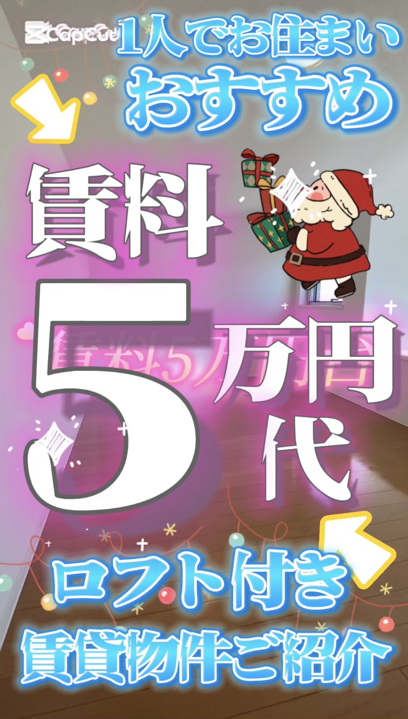 賃料5万円台・1K（ロフト付）賃貸物件の画像