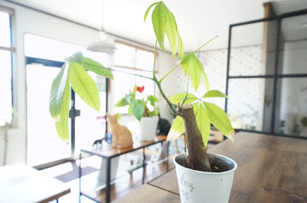 住宅ローン結局どこで借りるのが良い？の画像