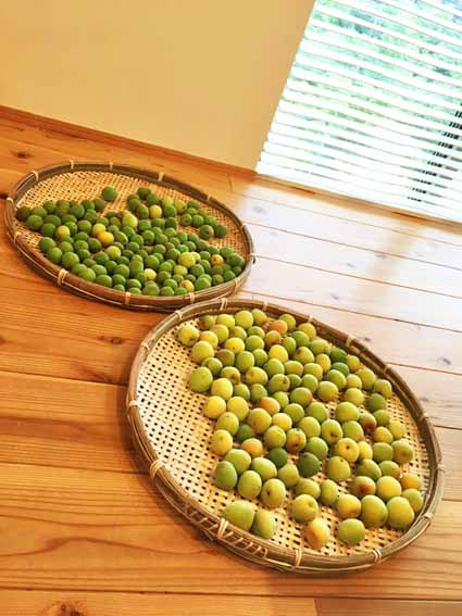 おうち時間に初挑戦☆の画像