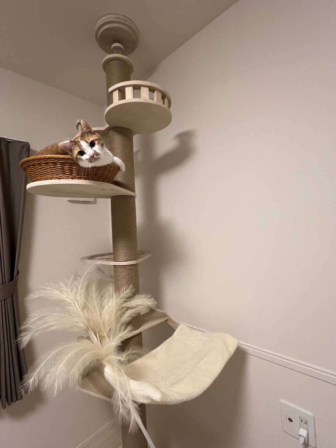 続・キャットタワーの画像